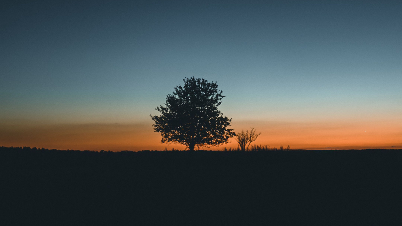 Atmosphere, Natural Landscape, Plant, Tree, Dusk. Wallpaper in 1366x768 Resolution