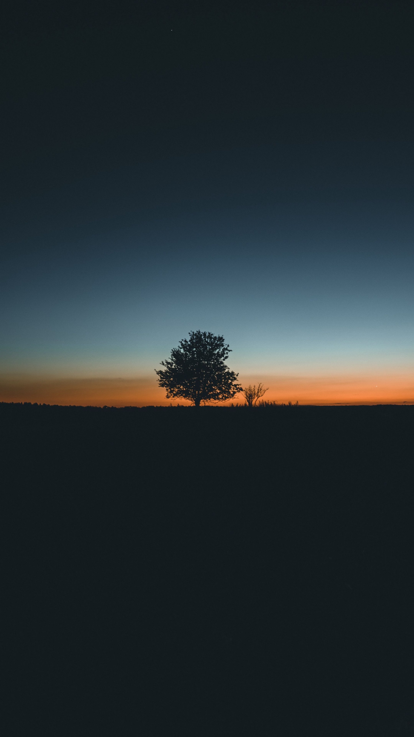 Atmosphere, Natural Landscape, Plant, Tree, Dusk. Wallpaper in 1440x2560 Resolution