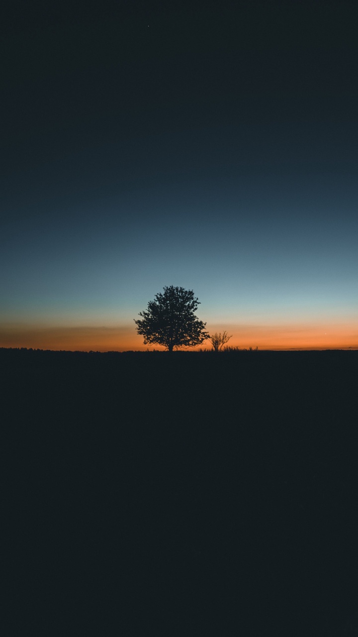 Atmosphere, Natural Landscape, Plant, Tree, Dusk. Wallpaper in 720x1280 Resolution