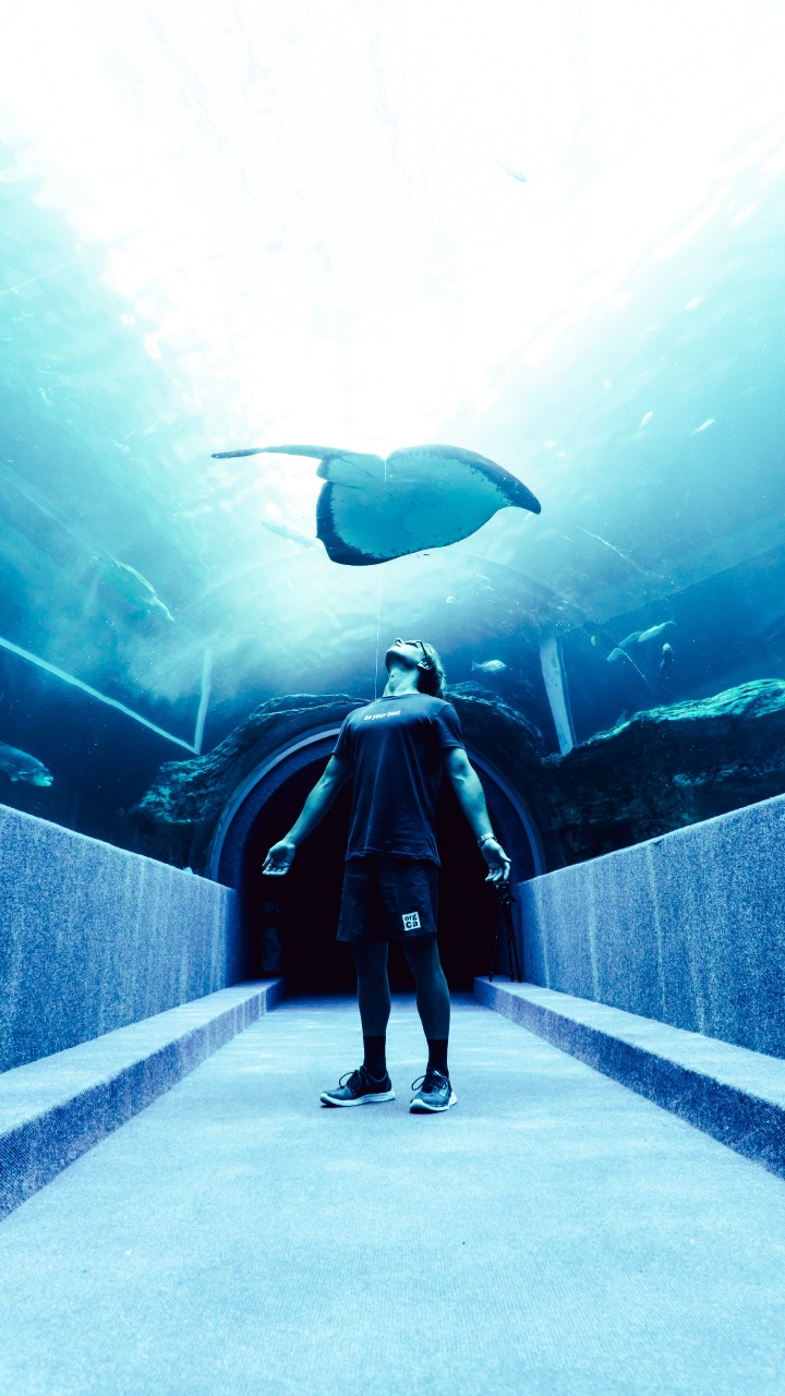 Homme en Veste Noire et Pantalon Debout Devant un Aquarium Avec Des Poissons. Wallpaper in 720x1280 Resolution