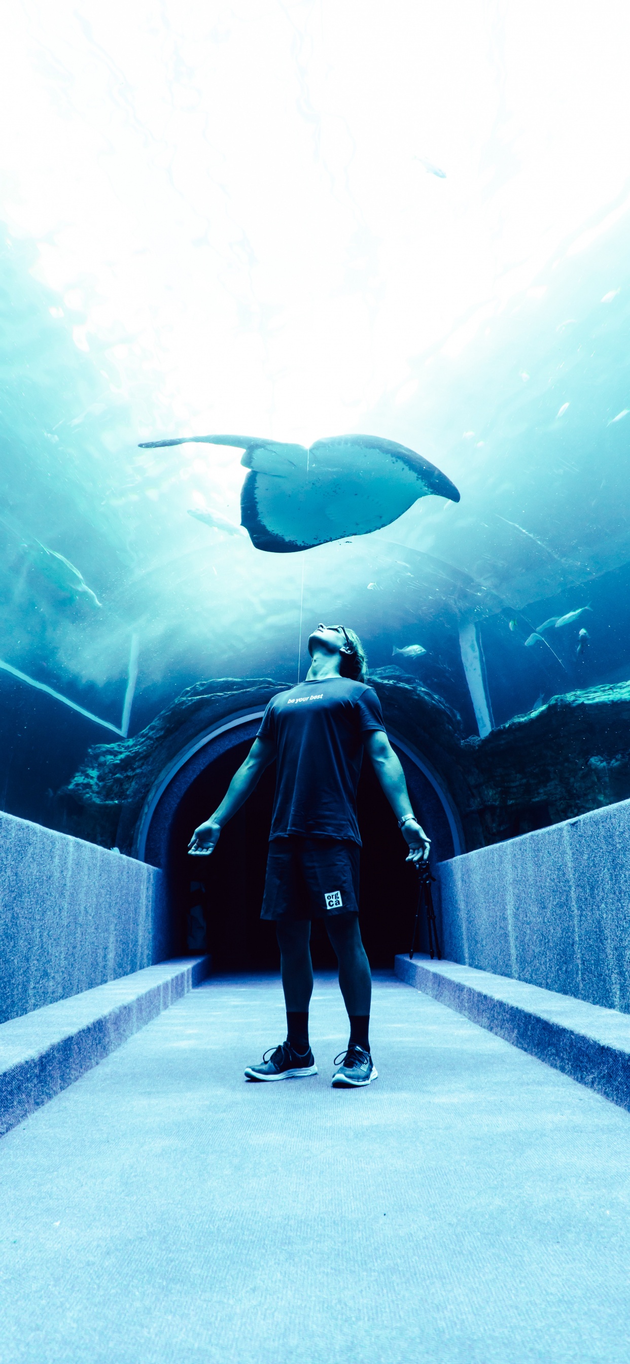Mann in Schwarzer Jacke Und Hose Steht Vor Aquarium Mit Fischen. Wallpaper in 1242x2688 Resolution