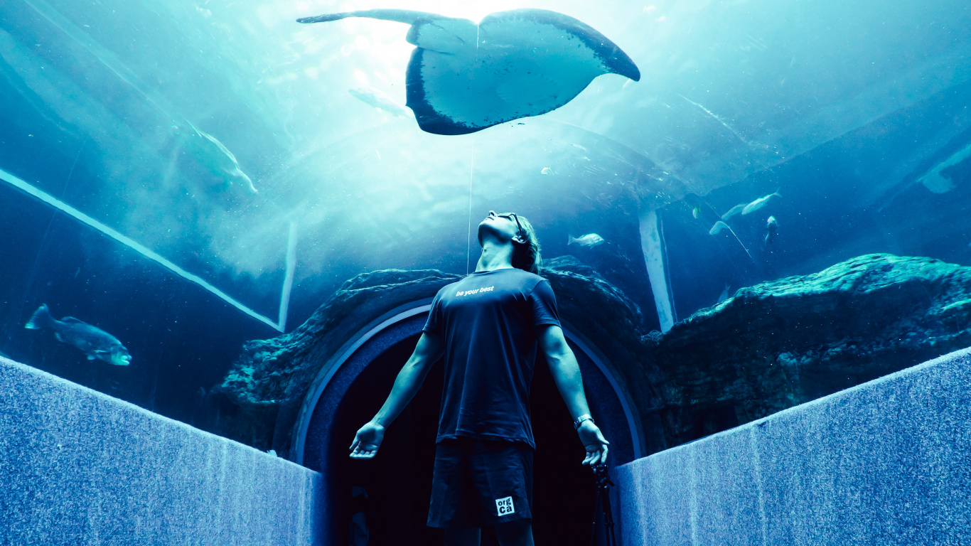 Mann in Schwarzer Jacke Und Hose Steht Vor Aquarium Mit Fischen. Wallpaper in 1366x768 Resolution