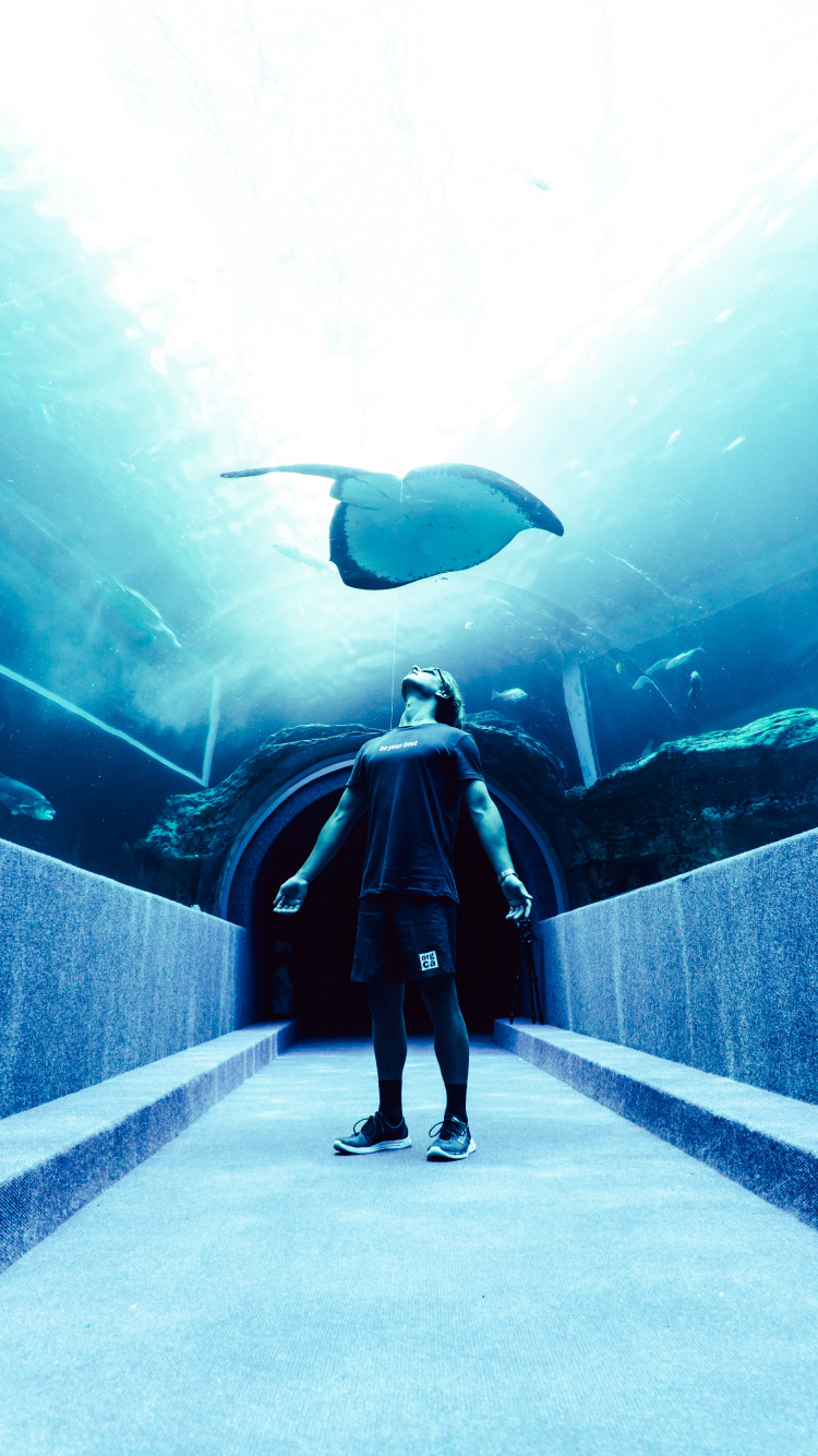 Mann in Schwarzer Jacke Und Hose Steht Vor Aquarium Mit Fischen. Wallpaper in 750x1334 Resolution