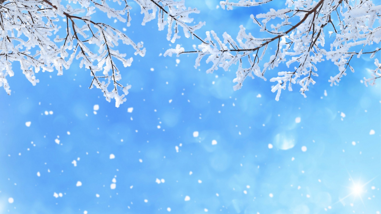 冬天, 天空, 一天, 颜色, 季节 壁纸 1280x720 允许