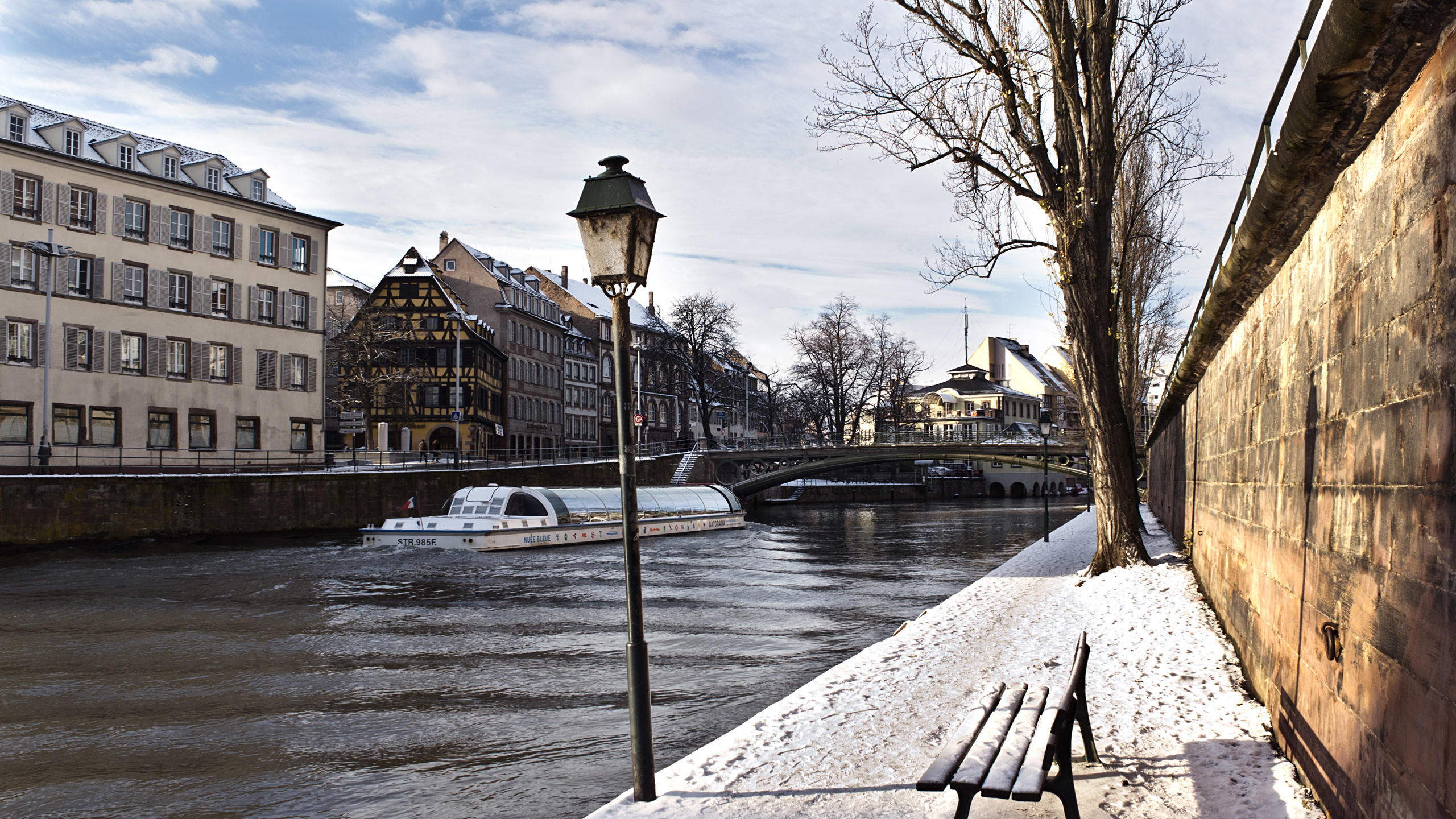 Brauner Kahler Baum in Der Nähe Eines Gewässers Tagsüber. Wallpaper in 2560x1440 Resolution
