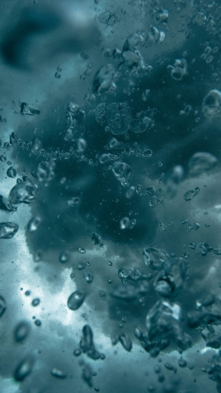 Chiroptophobia, Water, Liquid, Fluid, Aqua. Wallpaper in 750x1334 Resolution