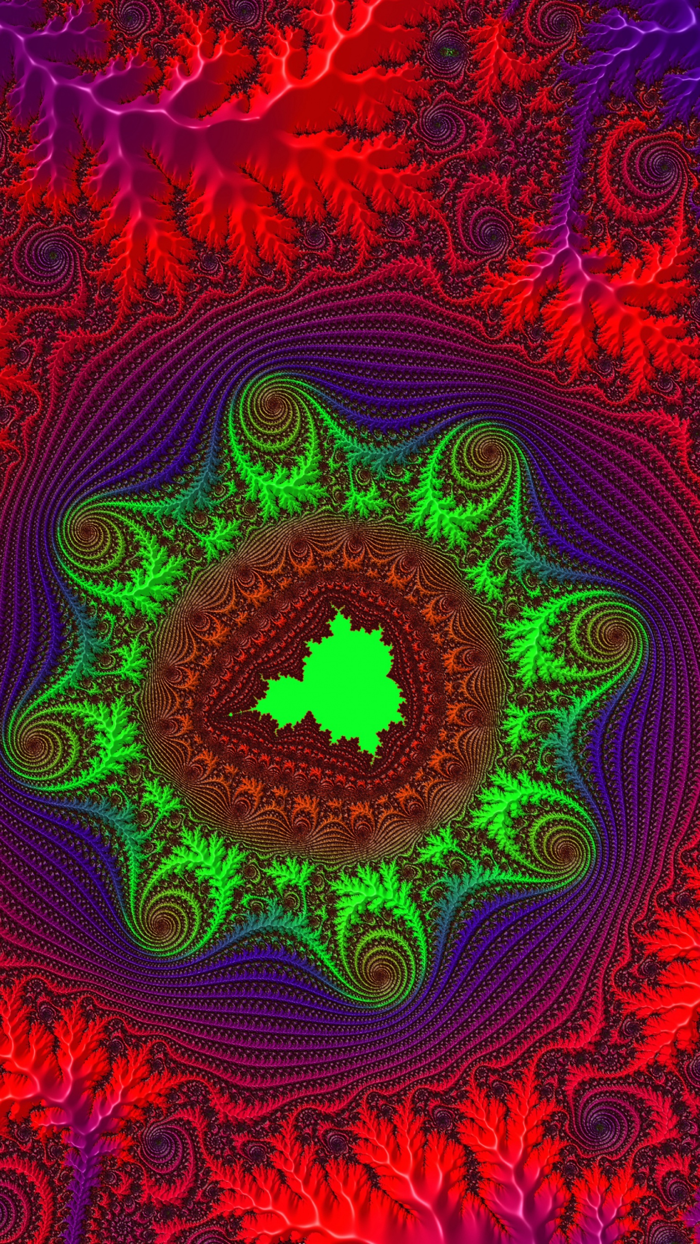 Decoración Redonda Floral Rosa y Púrpura. Wallpaper in 1440x2560 Resolution