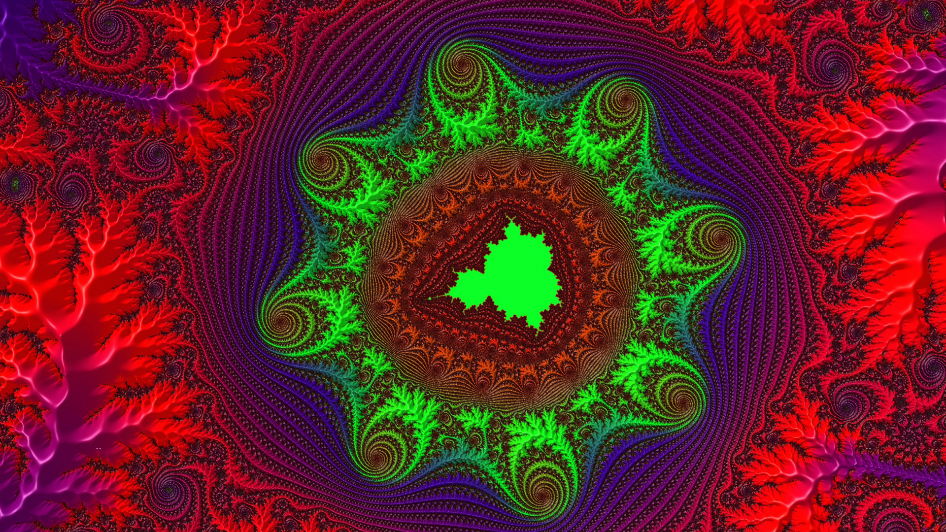 Decoración Redonda Floral Rosa y Púrpura. Wallpaper in 1920x1080 Resolution