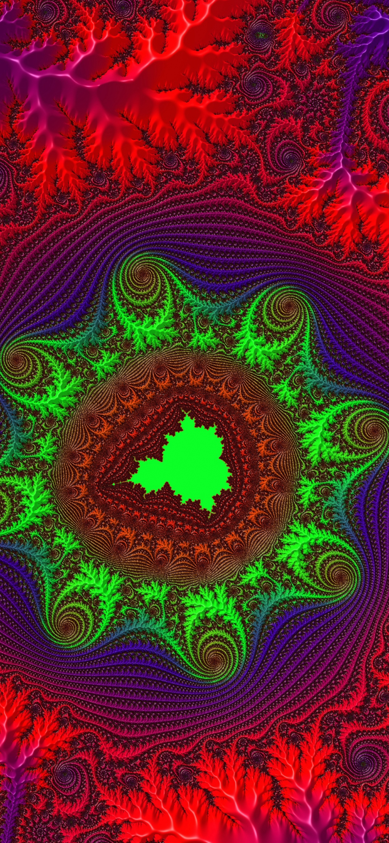 Rosa Und Lila Florales Rundes Dekor. Wallpaper in 1242x2688 Resolution