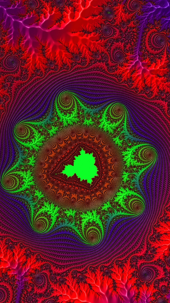 Rosa Und Lila Florales Rundes Dekor. Wallpaper in 720x1280 Resolution