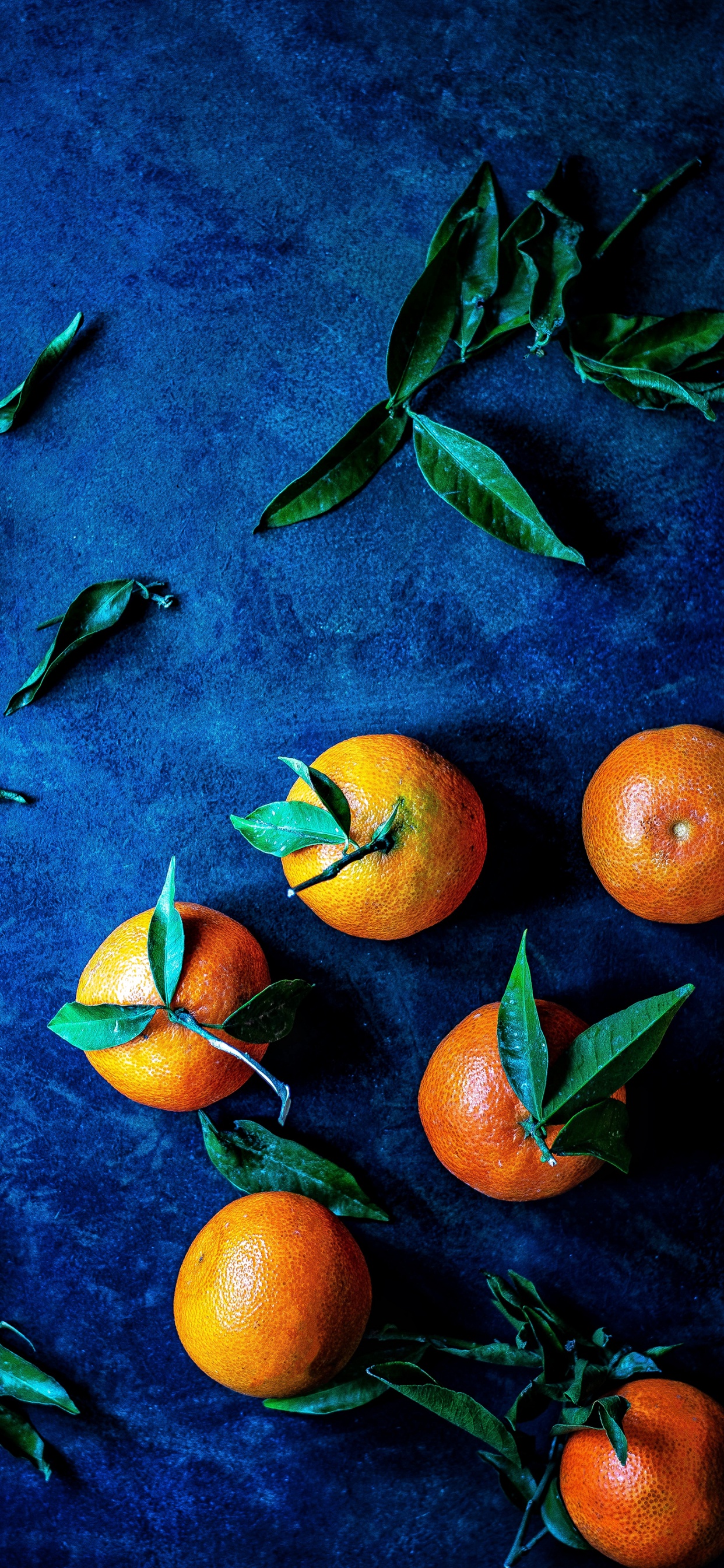 Orange, Mandarine, Clementine, Tangerine, Erdbeere. Wallpaper in 1242x2688 Resolution