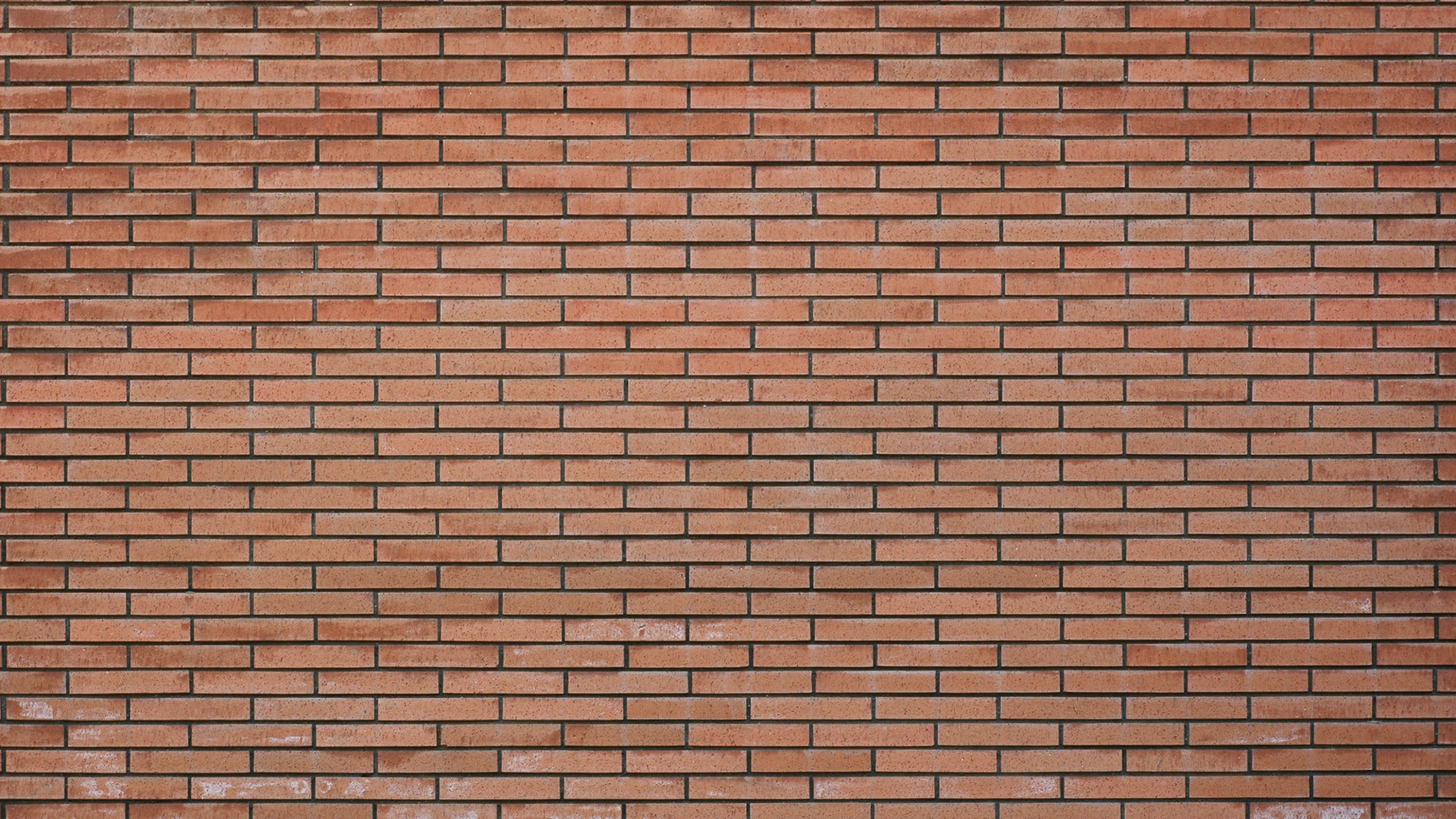 Mur de Briques Brunes et Noires. Wallpaper in 2560x1440 Resolution