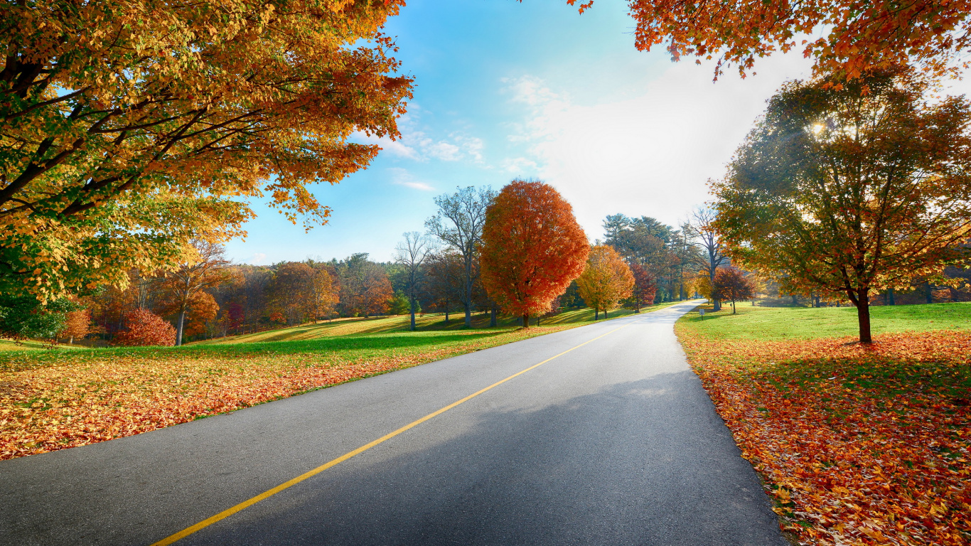 Route Goudronnée Grise Entre le Champ D'herbe Verte et Les Arbres Sous le Ciel Bleu et Les Nuages Blancs Pendant. Wallpaper in 1366x768 Resolution