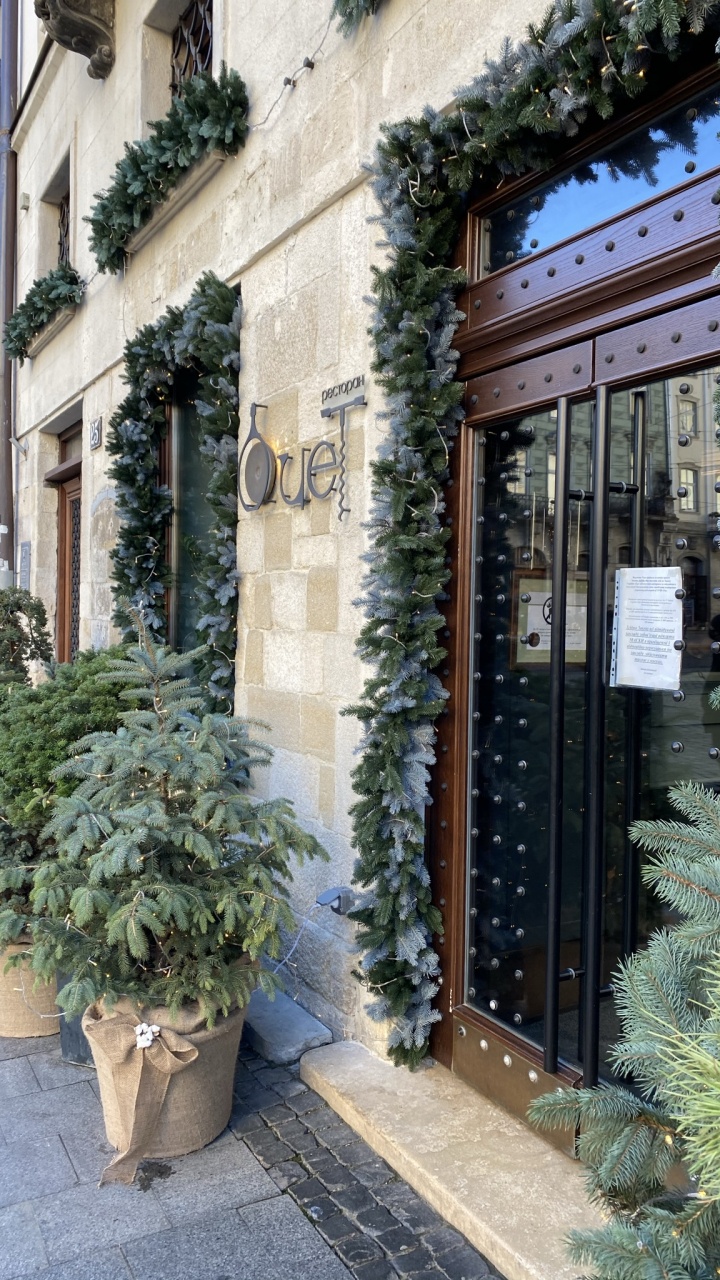 Fenêtre, Flowerpot, Porte, Plante D'intérieur, Sapin. Wallpaper in 720x1280 Resolution