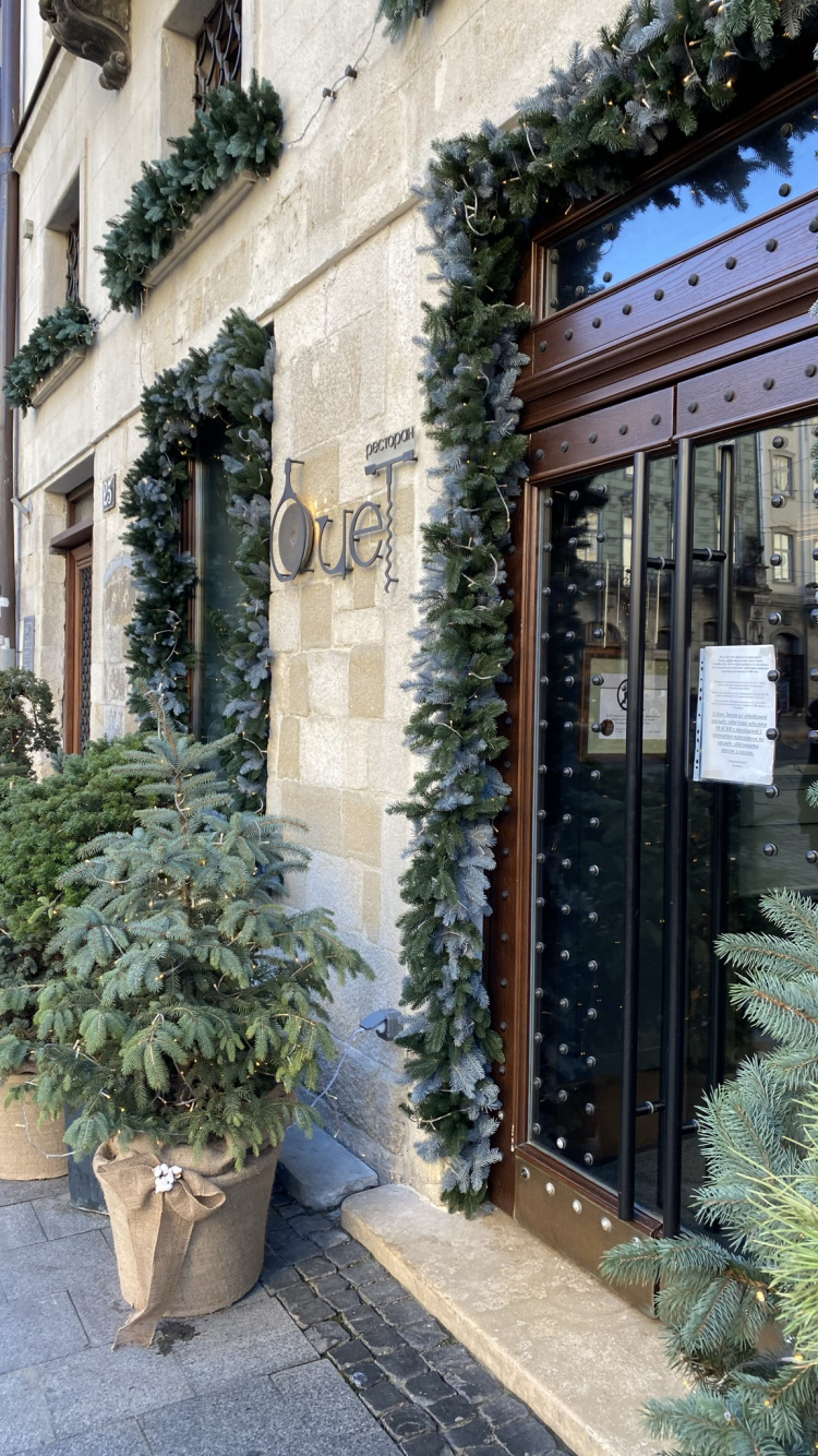 Fenster, Blumentopf, Tür, Haus, Zimmerpflanze. Wallpaper in 750x1334 Resolution