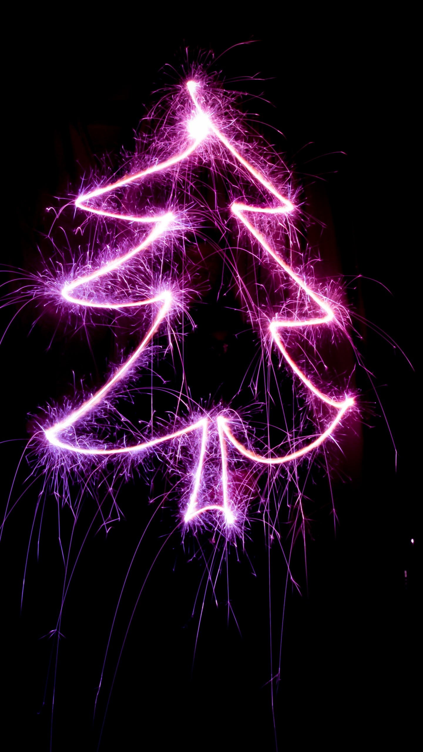 圣诞节那天, 圣诞树, 紫色的, 紫罗兰色, 光 壁纸 1440x2560 允许