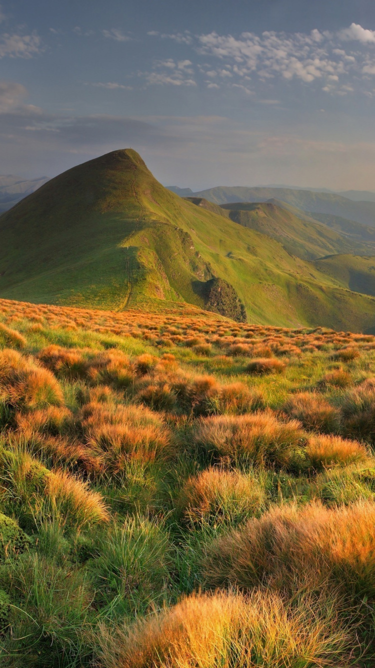 Campo de Hierba Verde Cerca de Las Montañas Durante el Día. Wallpaper in 750x1334 Resolution