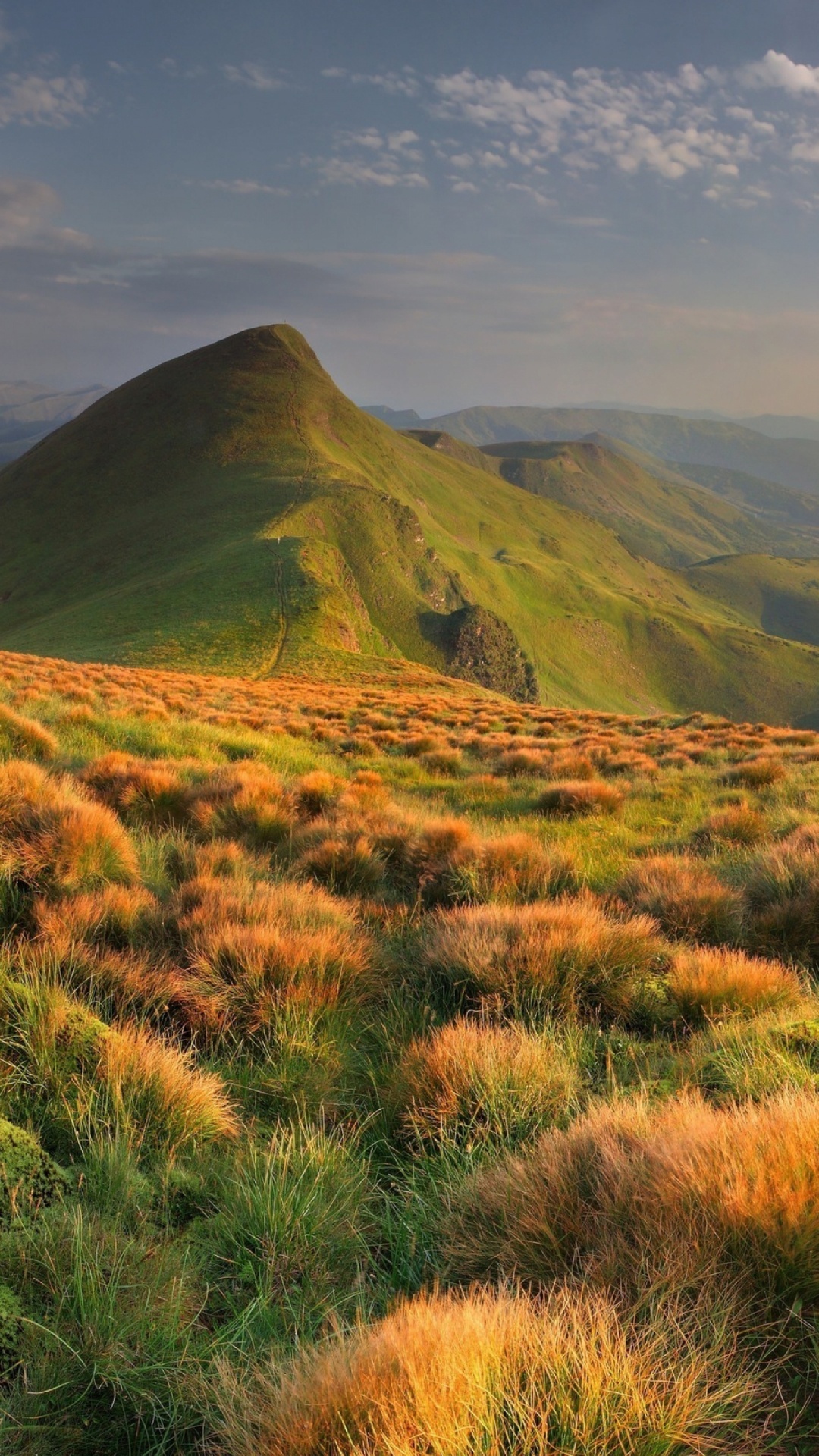 Tagsüber Grüne Wiese in Der Nähe Von Bergen. Wallpaper in 1080x1920 Resolution