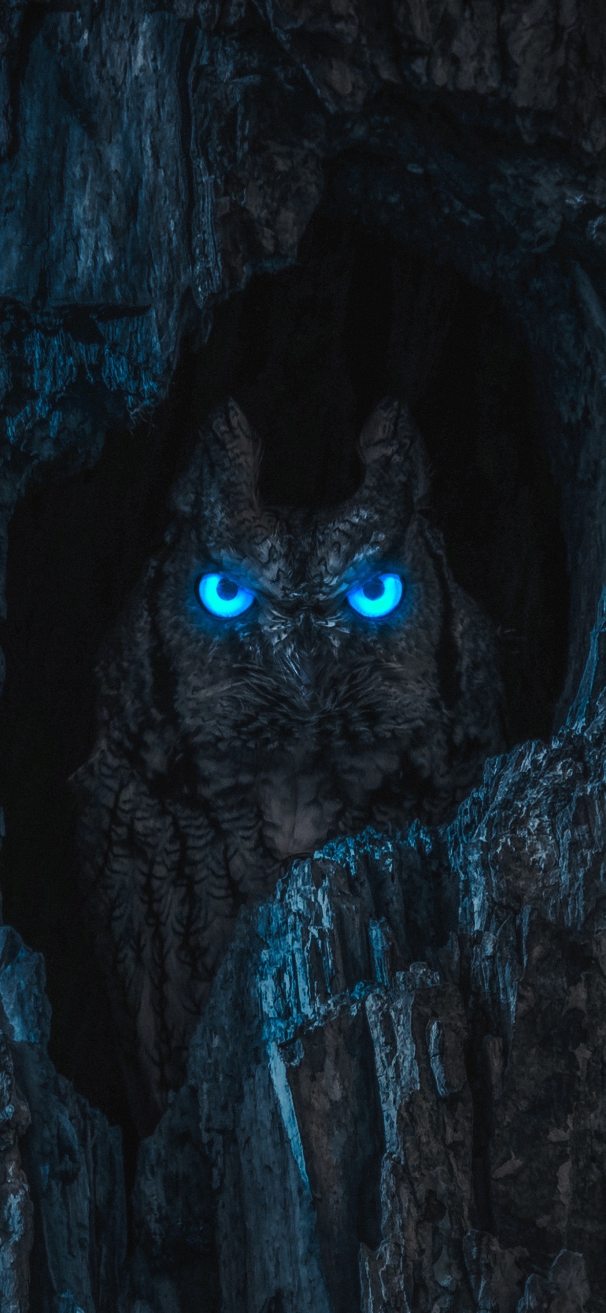 Darkness, Owl, Butterscotch, Electric Blue, Snout. Wallpaper in 1242x2688 Resolution
