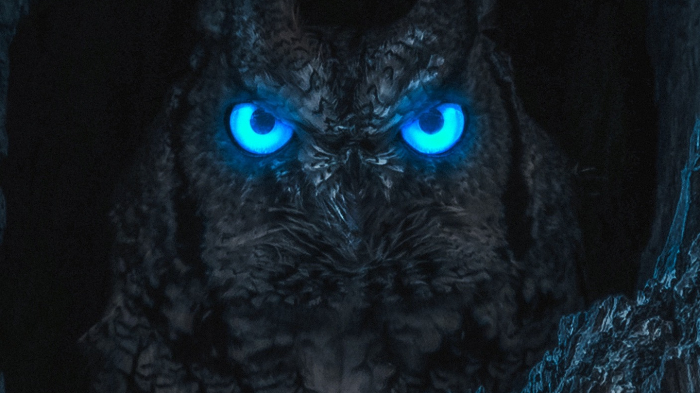 Eule, Butterscotch, Electric Blue, Terrestrische Tier, Fell. Wallpaper in 1366x768 Resolution