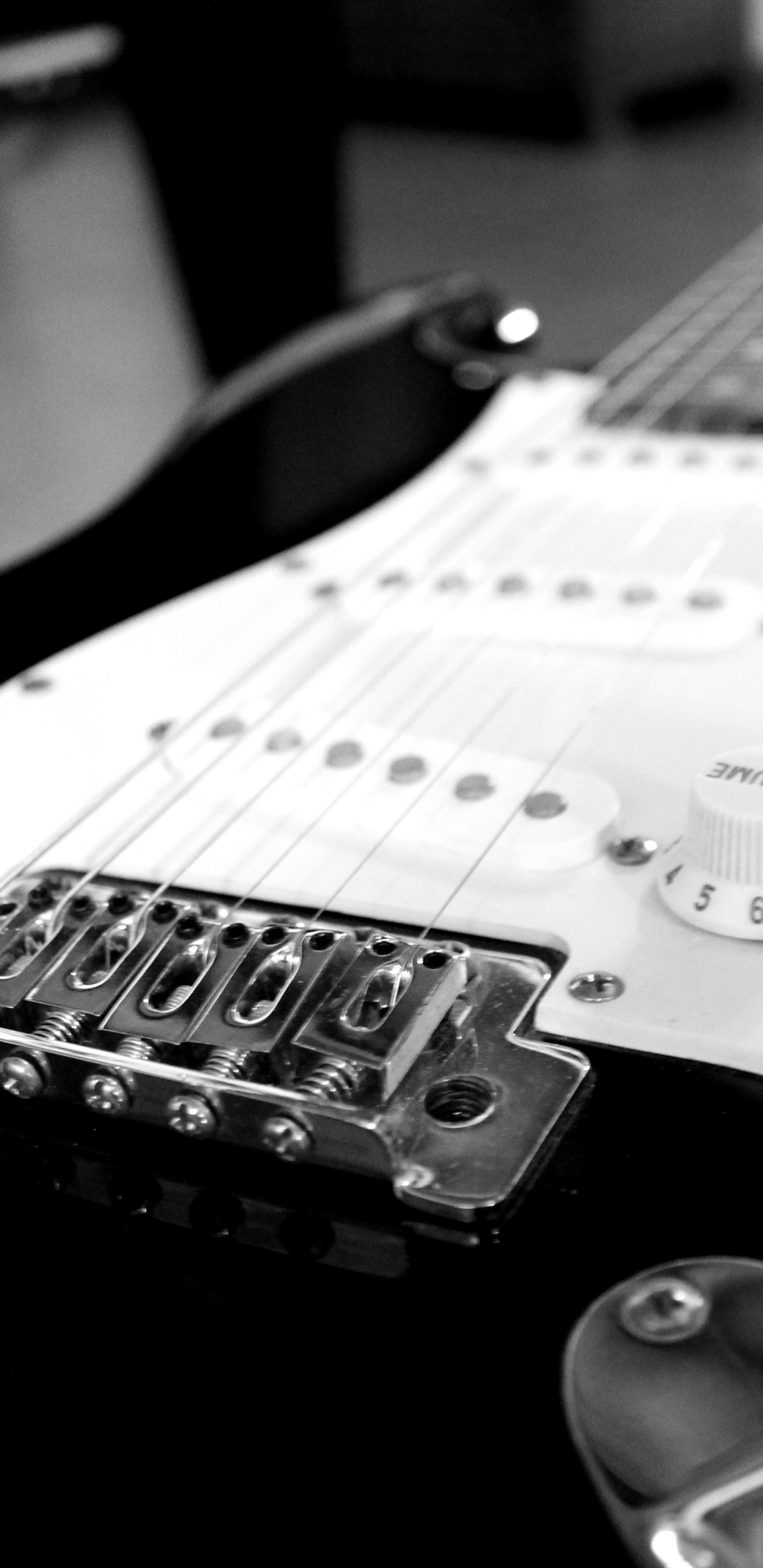 Gitarre, Fender Stratocaster, Bass, Gezupfte Saiteninstrumente, Musikinstrument. Wallpaper in 1440x2960 Resolution
