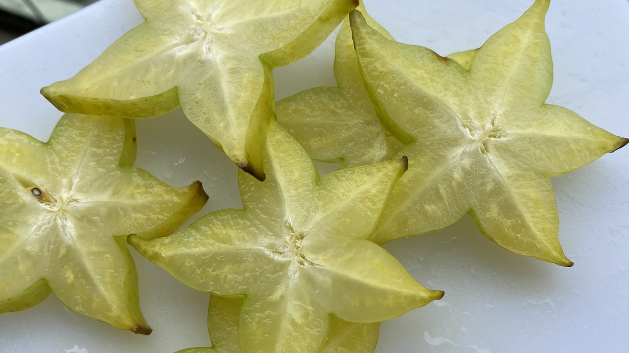 Sternfrucht, Biologie, Wissenschaft, Gelb, Rezept. Wallpaper in 1280x720 Resolution