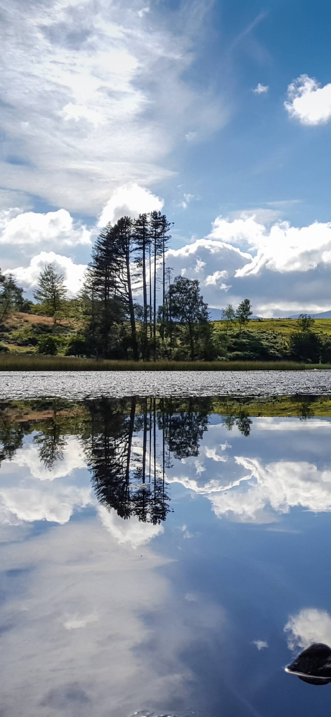 Arbres Verts au Bord du Lac Sous Ciel Bleu Pendant la Journée. Wallpaper in 1125x2436 Resolution