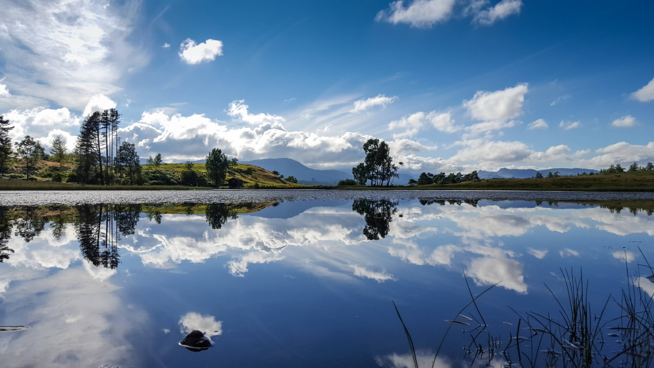 Green Trees Beside Lake Under Blue Sky During Daytime. Wallpaper in 1280x720 Resolution