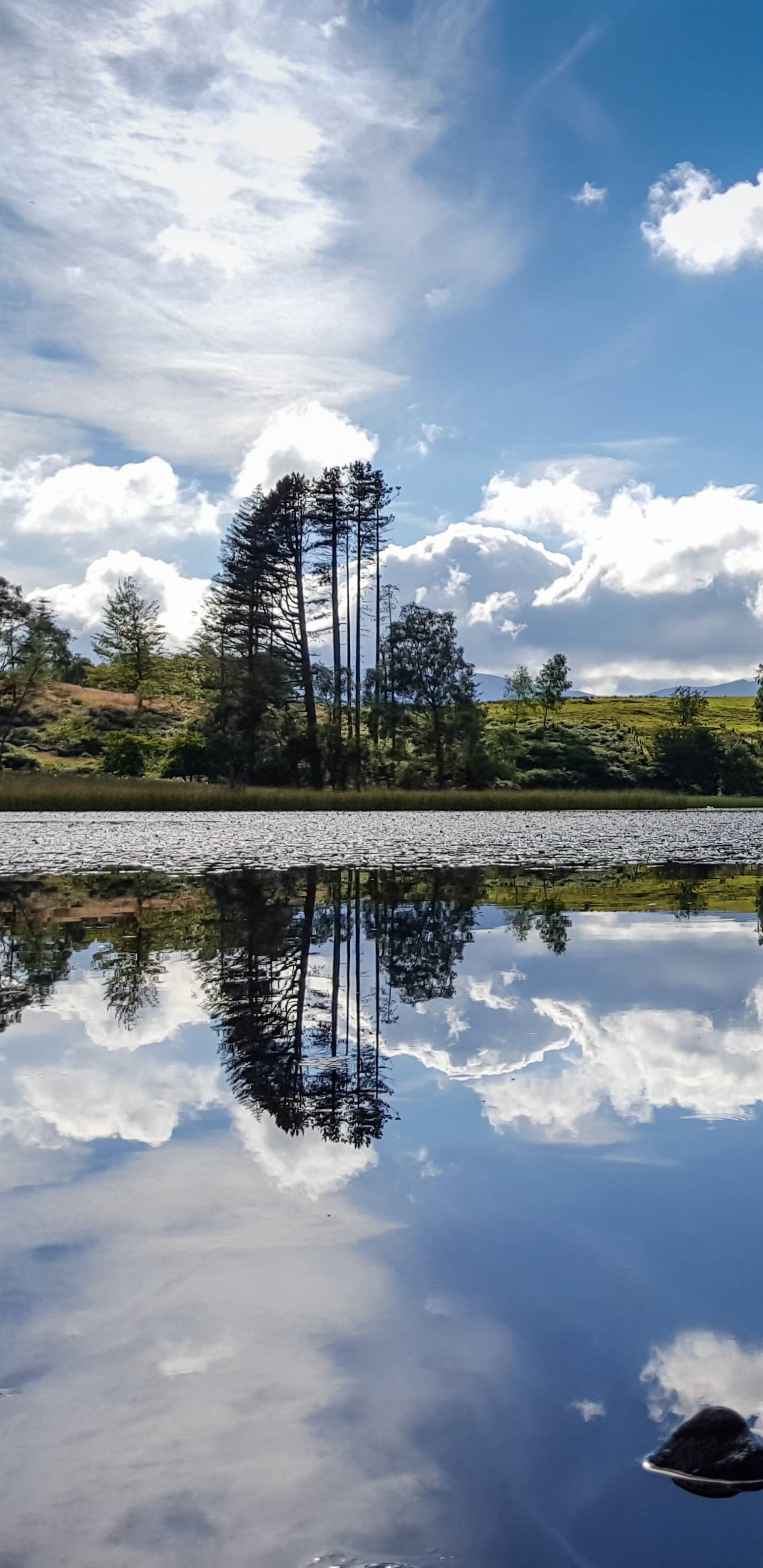 Green Trees Beside Lake Under Blue Sky During Daytime. Wallpaper in 1440x2960 Resolution