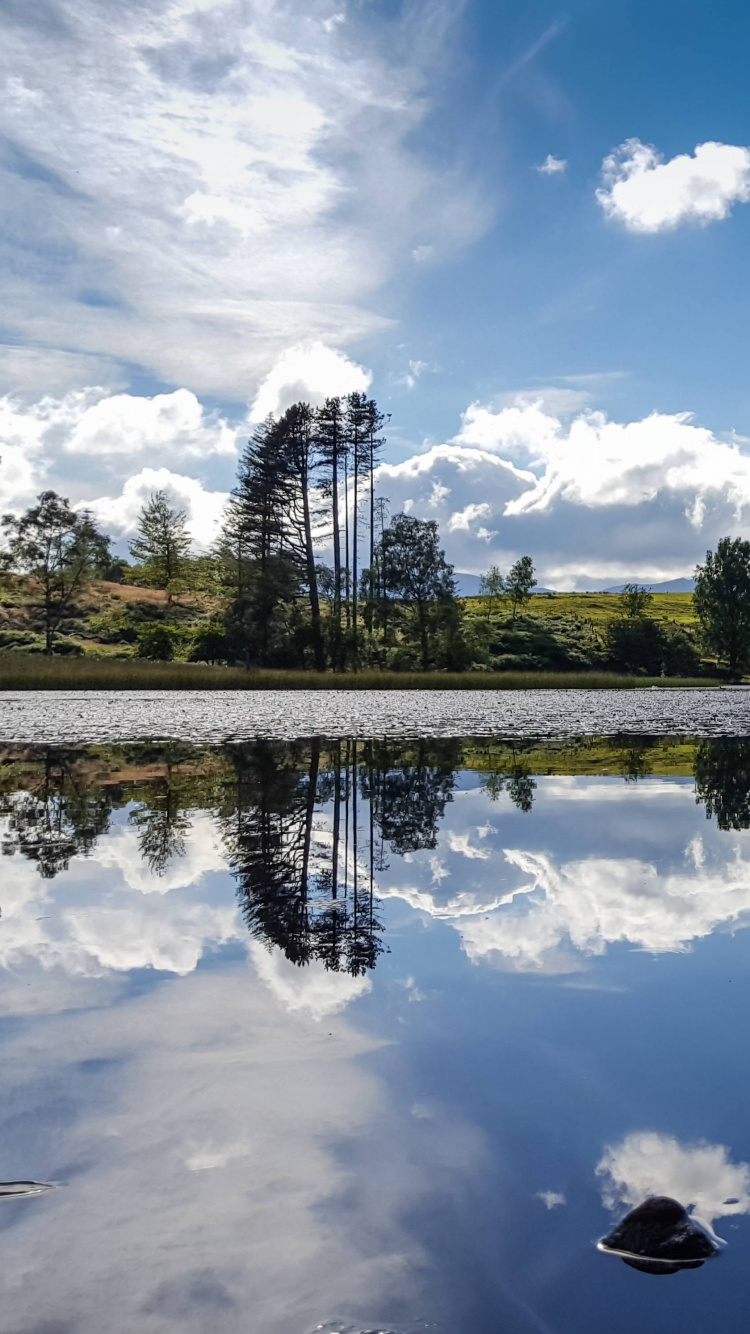 Green Trees Beside Lake Under Blue Sky During Daytime. Wallpaper in 750x1334 Resolution