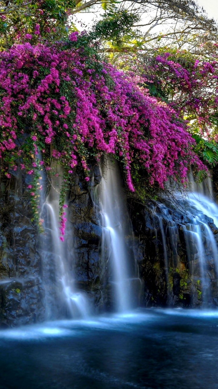 el Agua Cae en Medio Del Bosque. Wallpaper in 750x1334 Resolution