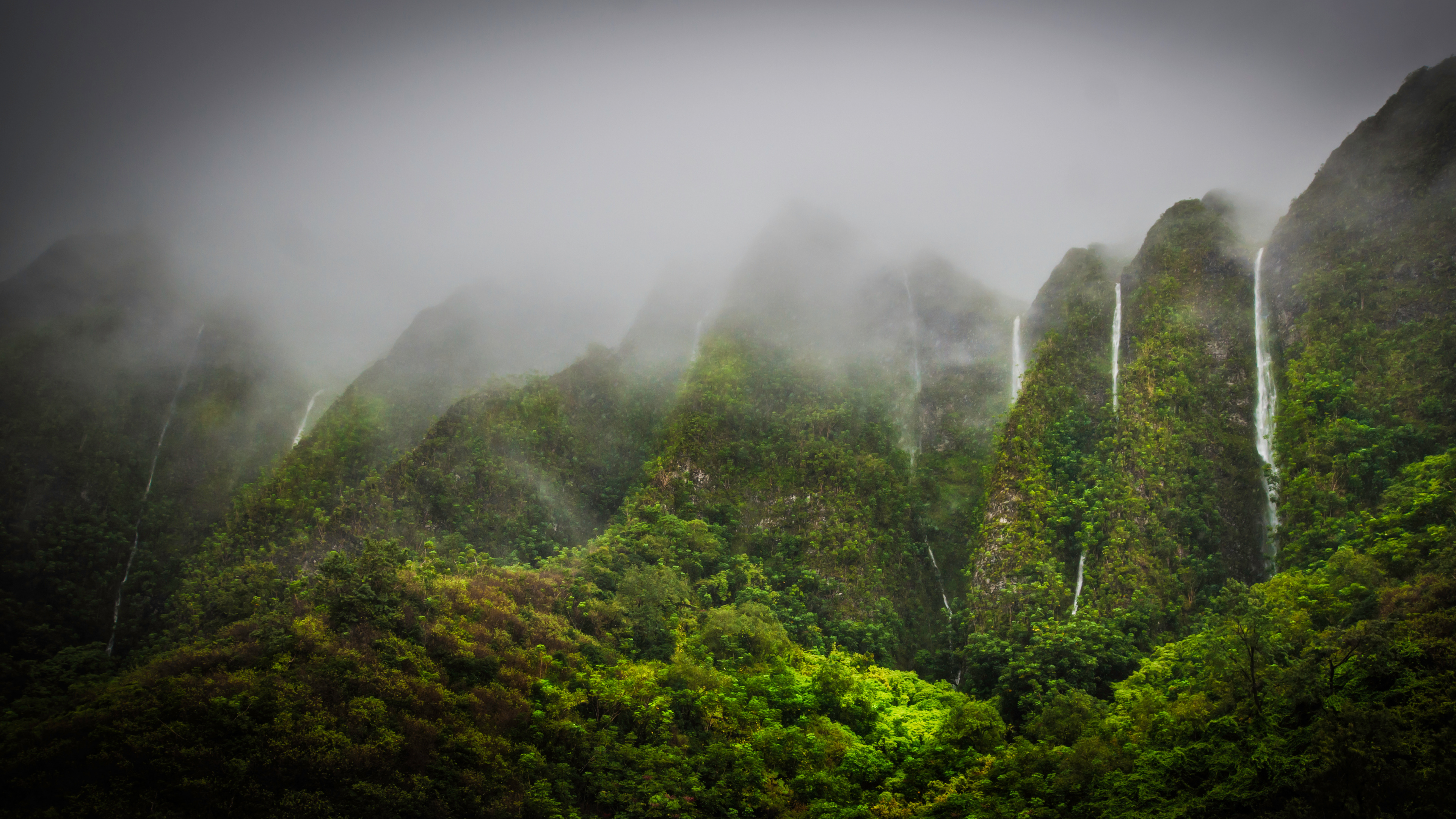 Green Trees Covered With Fog. Wallpaper in 3840x2160 Resolution