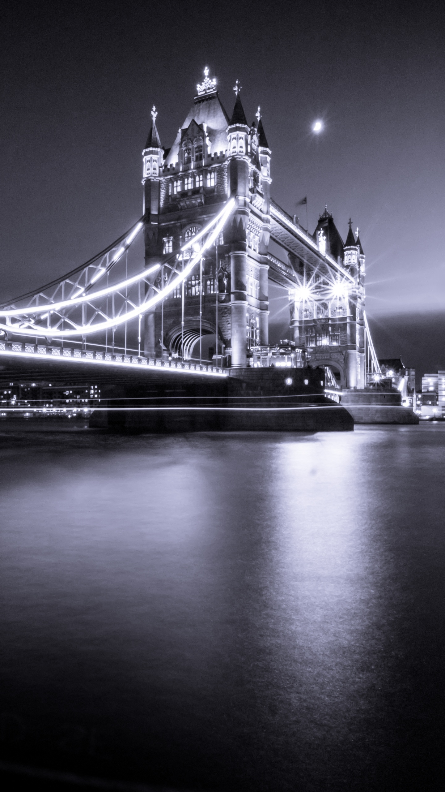 Graustufenfoto Der Brücke Über Dem Gewässer. Wallpaper in 1440x2560 Resolution