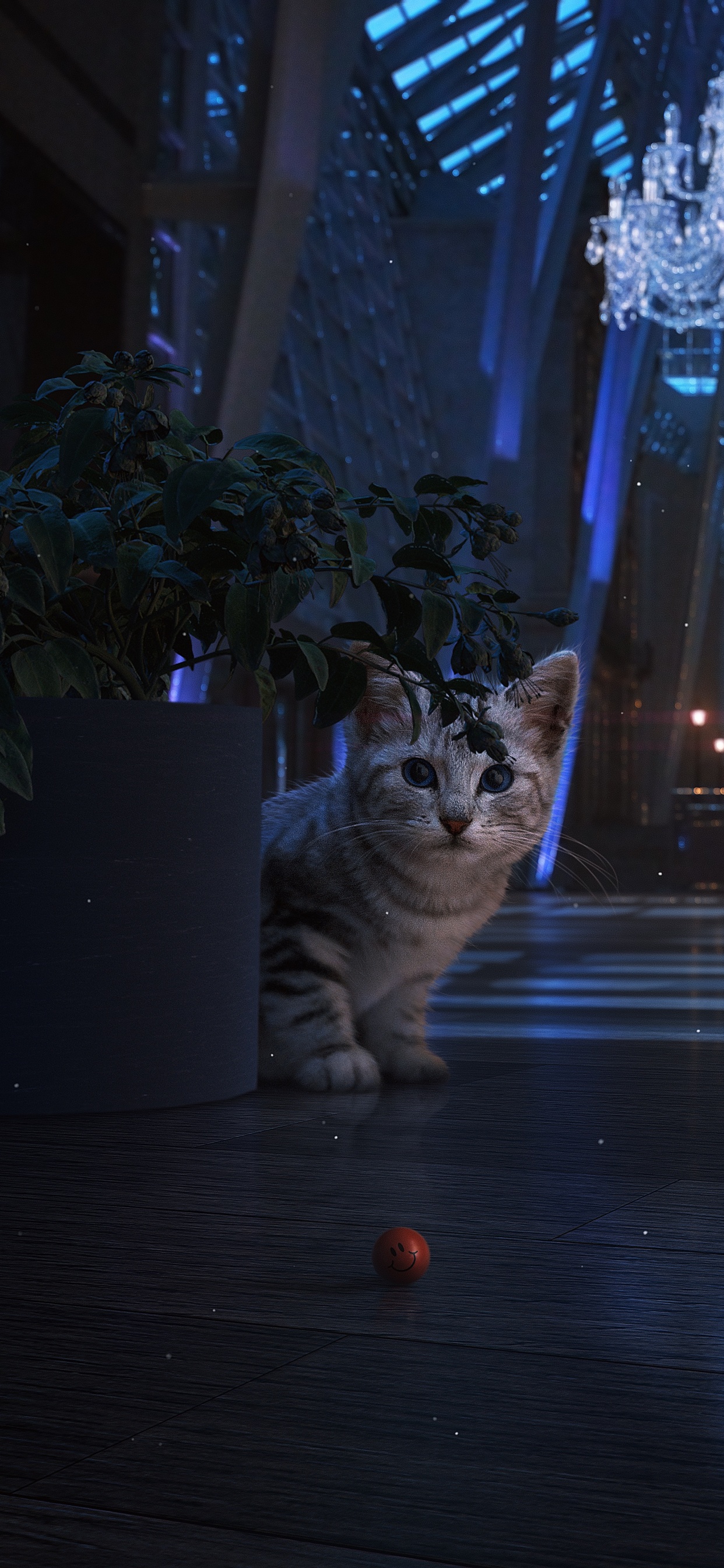 Bleu Russe, Chat Noir, Chaton, Chat, Felidae. Wallpaper in 1242x2688 Resolution