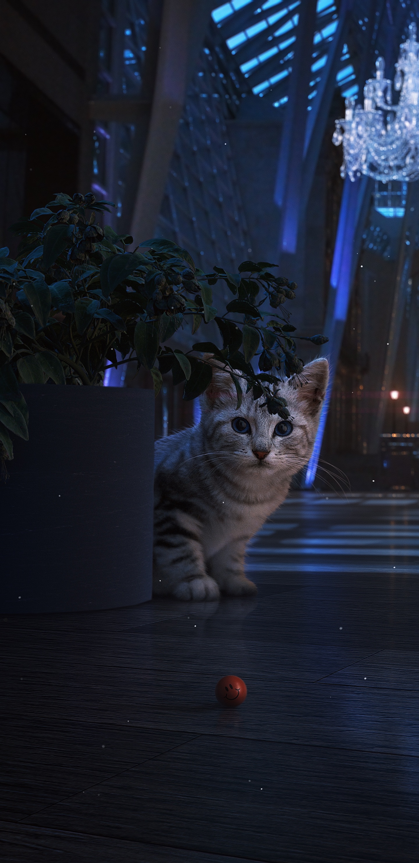 Russisch Blau, Schwarze Katze, Kätzchen, Katze, Felidae. Wallpaper in 1440x2960 Resolution