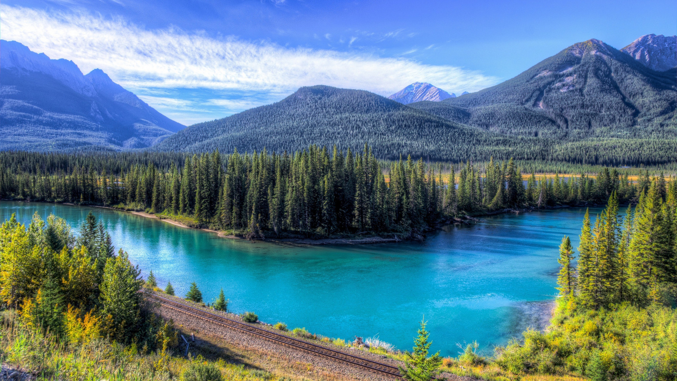 Green Pine Trees Near Lake During Daytime. Wallpaper in 1366x768 Resolution