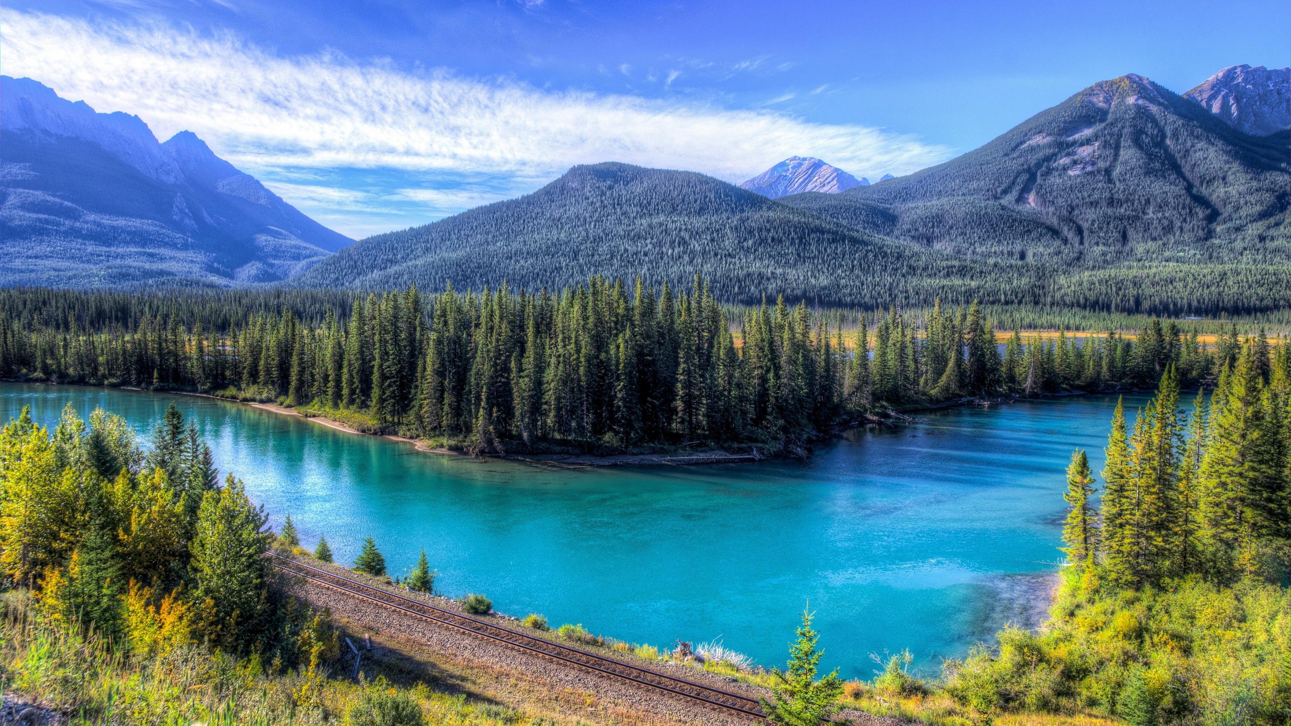 Green Pine Trees Near Lake During Daytime. Wallpaper in 2560x1440 Resolution
