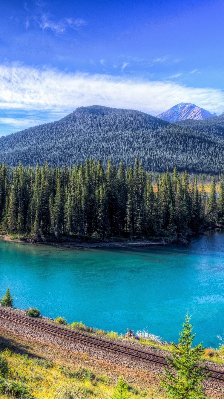 Green Pine Trees Near Lake During Daytime. Wallpaper in 750x1334 Resolution