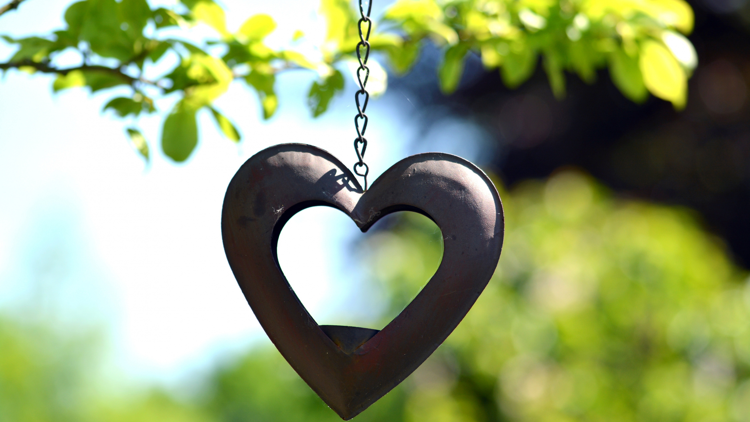 Heart, Symbol, Love, Pendant, Locket. Wallpaper in 2560x1440 Resolution