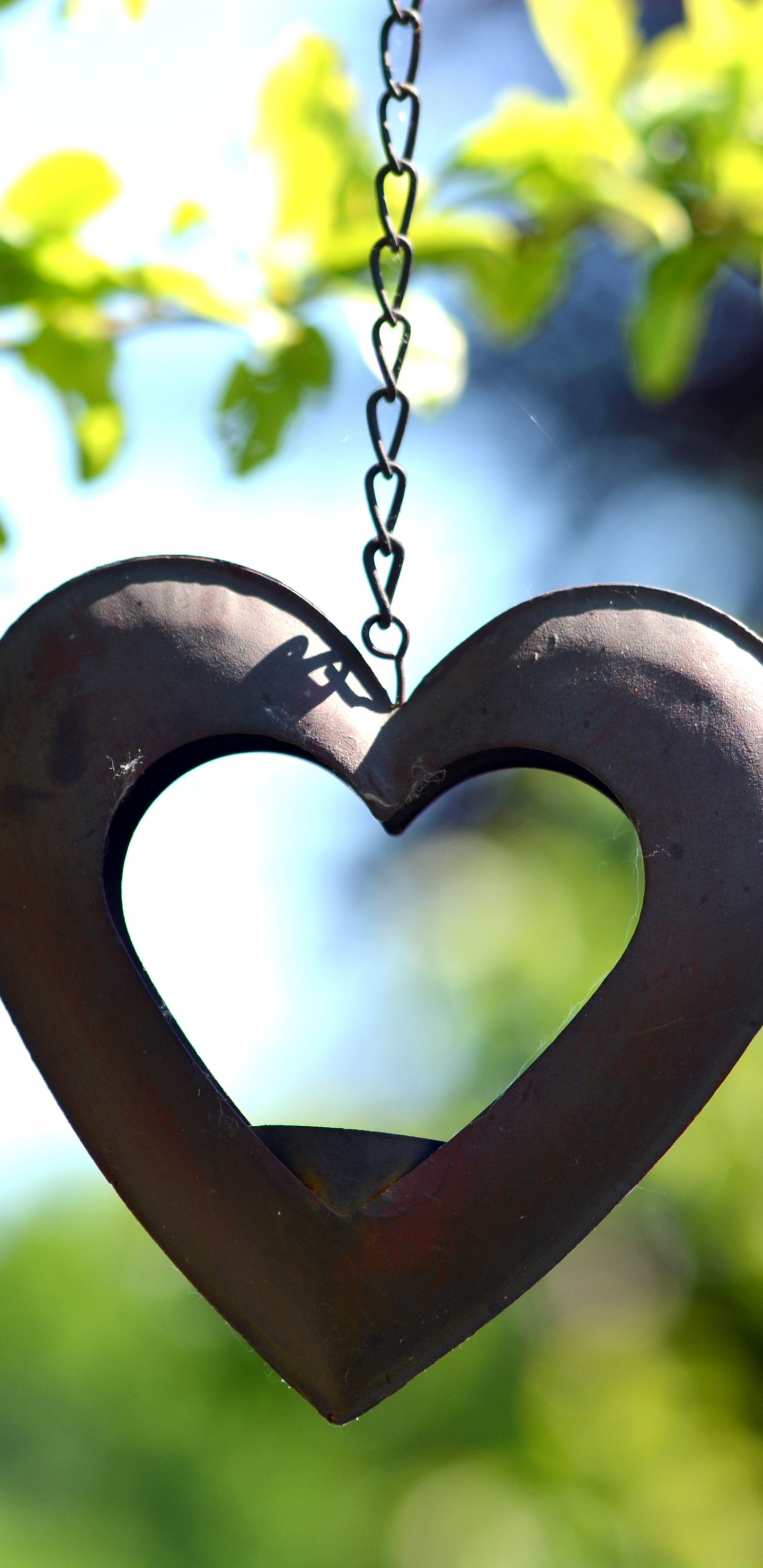 Cœur, Symbole, Amour, Pendentif, Médaillon. Wallpaper in 1440x2960 Resolution