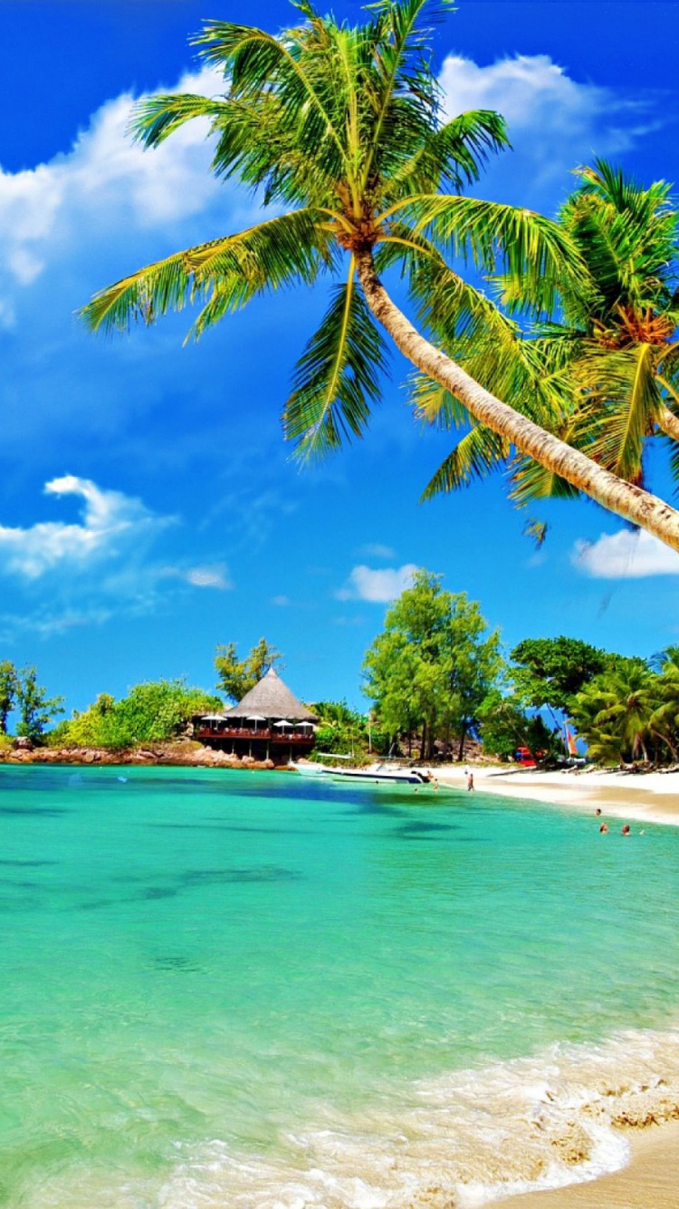 Palm Trees on Beach Shore Under Blue Sky and White Clouds During Daytime. Wallpaper in 750x1334 Resolution