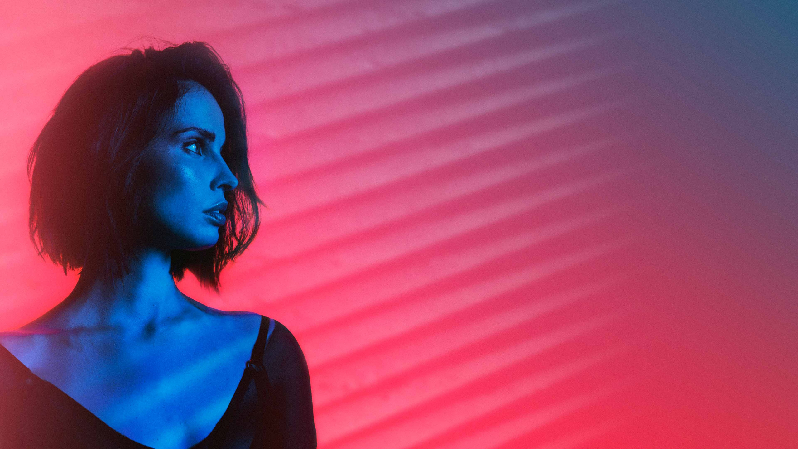 冰岛, 头发, 红色的, 粉红色, 紫色的 壁纸 2560x1440 允许