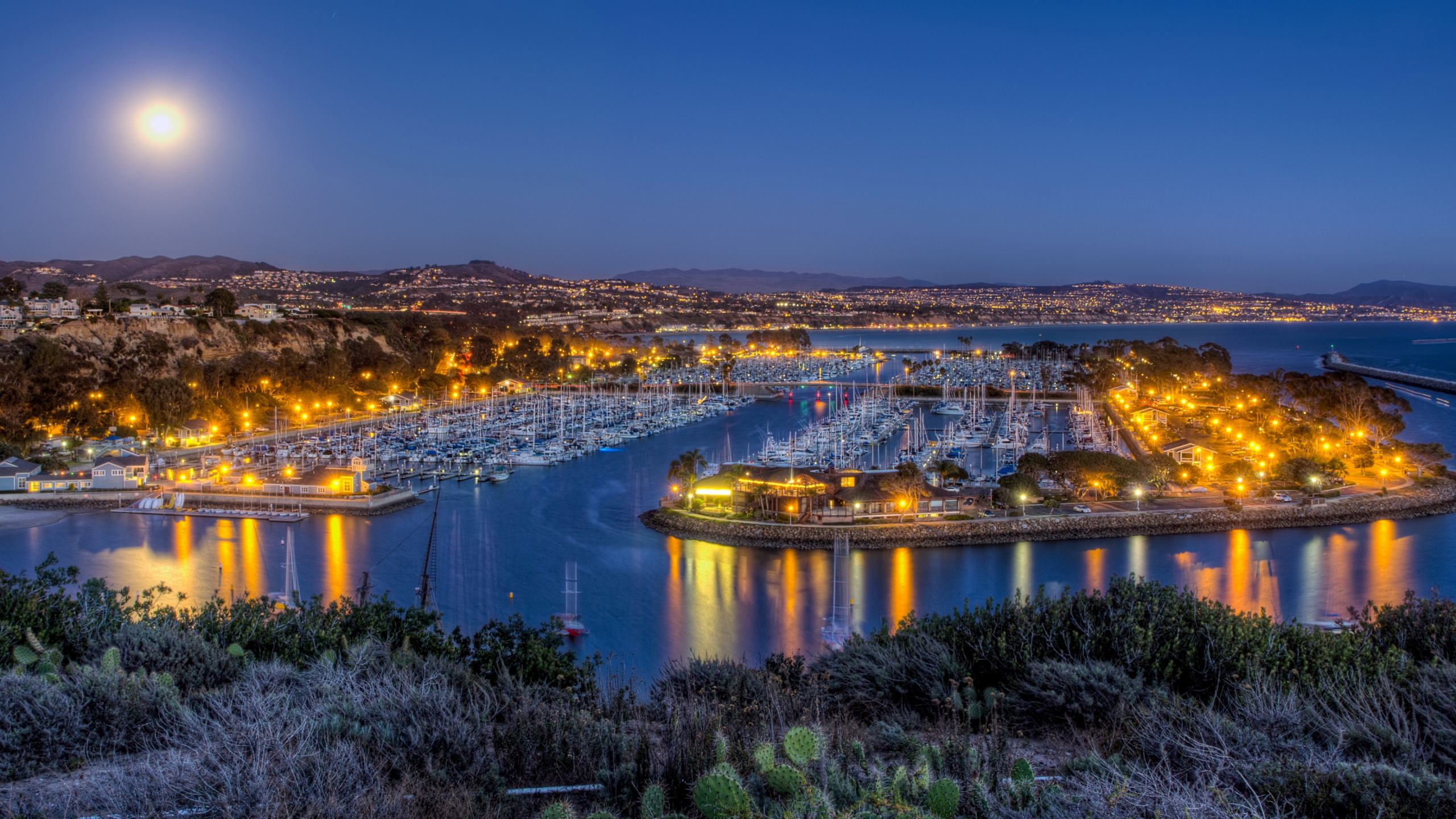 Luces de la Ciudad Encendidas Durante la Noche. Wallpaper in 2560x1440 Resolution