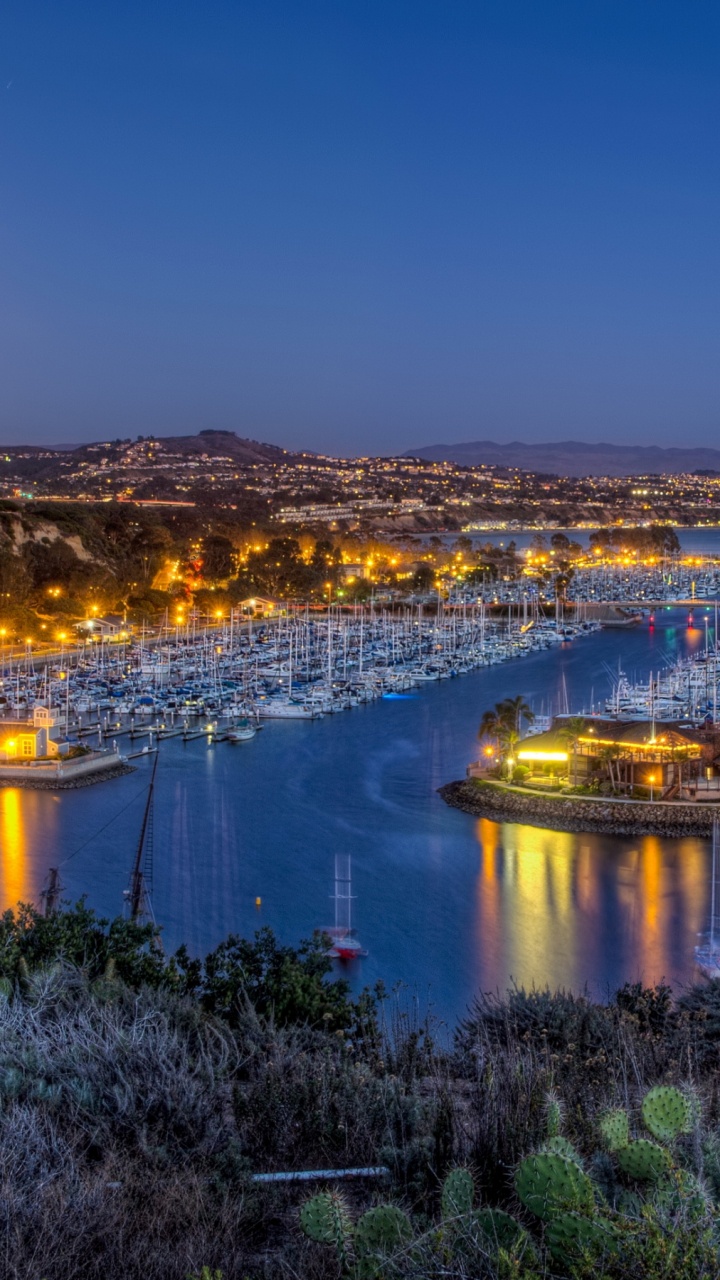 Luces de la Ciudad Encendidas Durante la Noche. Wallpaper in 720x1280 Resolution