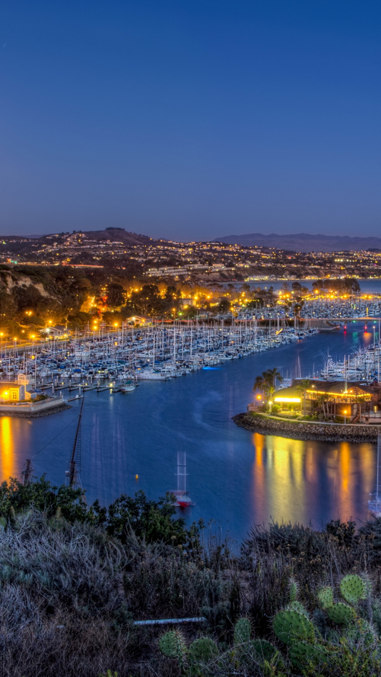 Stadtlichter Werden Nachts Eingeschaltet. Wallpaper in 750x1334 Resolution