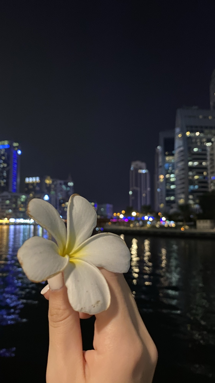 Reflection, Water, Physics, Science, Night. Wallpaper in 750x1334 Resolution