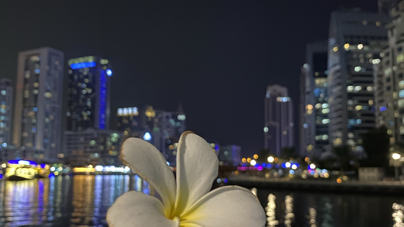 Reflexión, Agua, la Física, Ciencia, Dedo. Wallpaper in 1366x768 Resolution