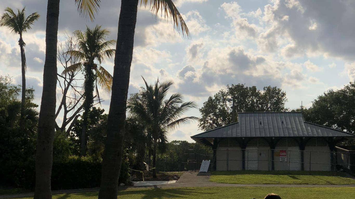 Palme, Baum, Woody Pflanze, Hocker, Tropics. Wallpaper in 1366x768 Resolution