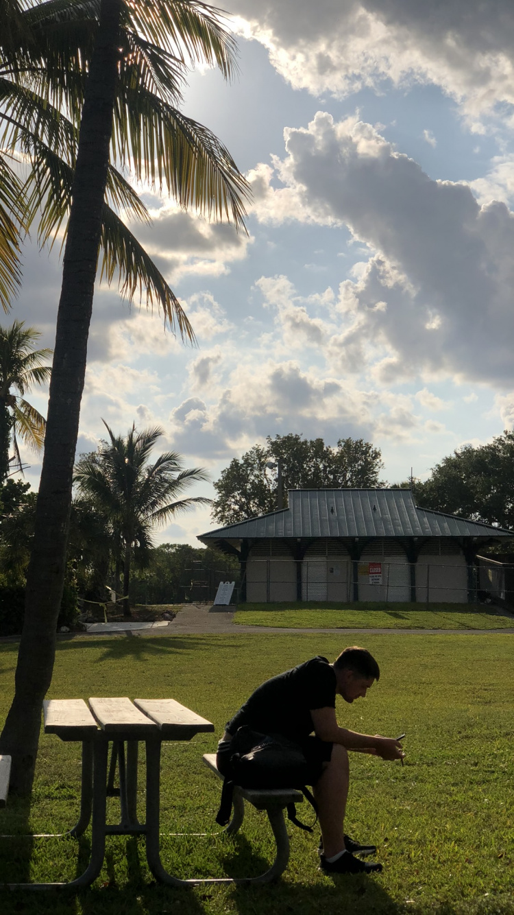 Palme, Baum, Woody Pflanze, Hocker, Tropics. Wallpaper in 750x1334 Resolution