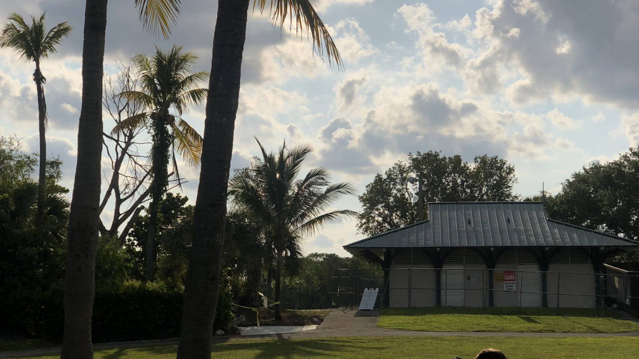 Palmera, Planta Leñosa, Heces, Trópicos, Muebles de Exterior. Wallpaper in 1280x720 Resolution